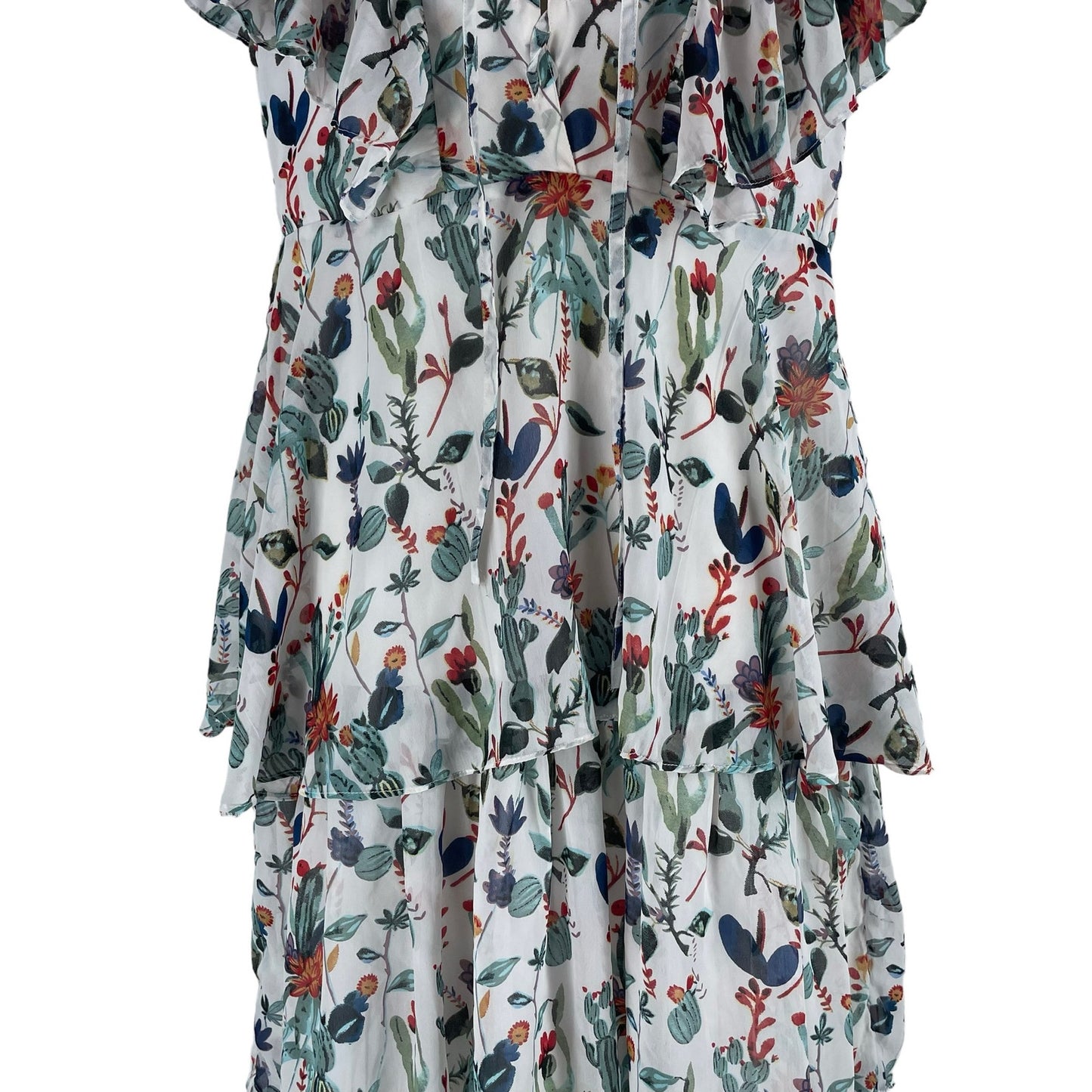 Walter Baker Sandra Cactus Bloom Ruffle Lace Up Maxi Dress Size 8