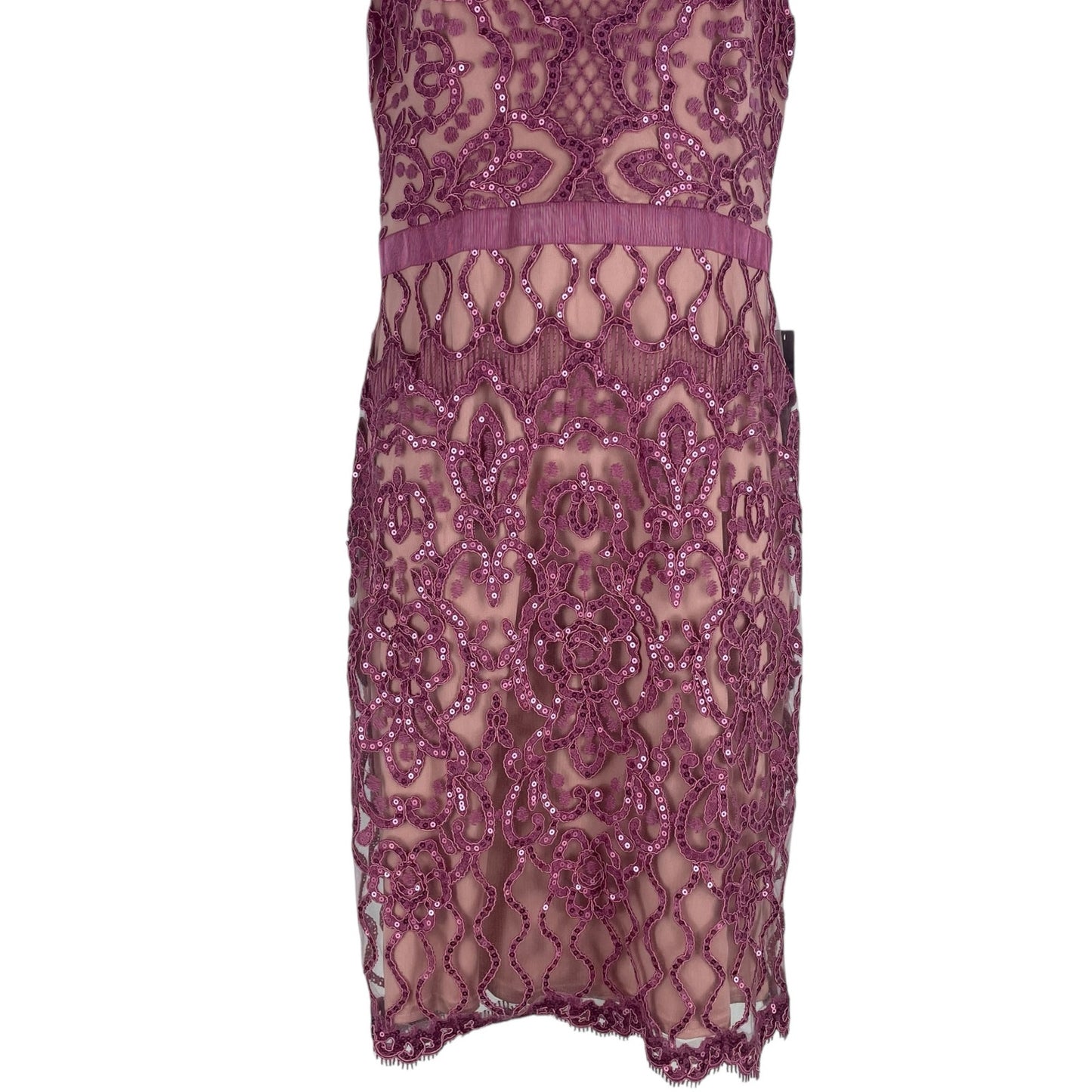 Tadashi Shoji Miranda Sequin Embroidered Cocktail Dress Mauve Size 4