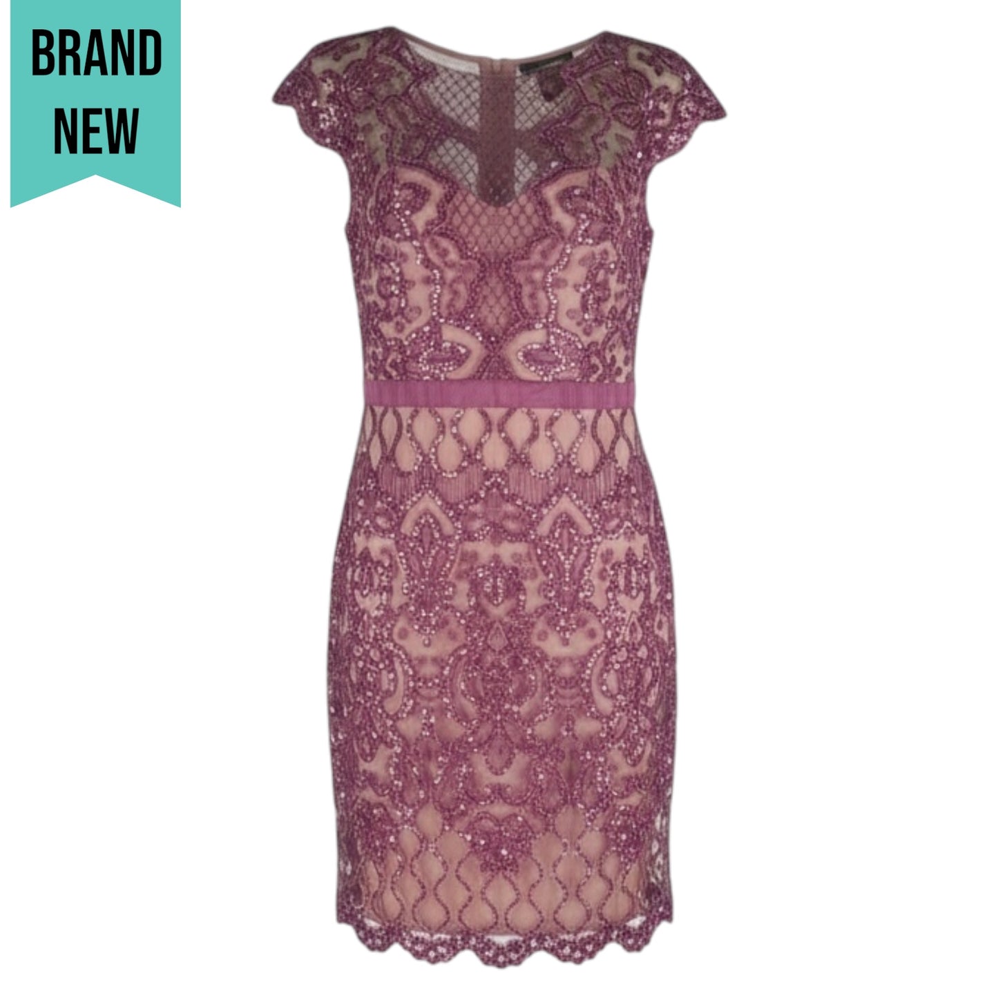 Tadashi Shoji Miranda Sequin Embroidered Cocktail Dress Mauve Size 4